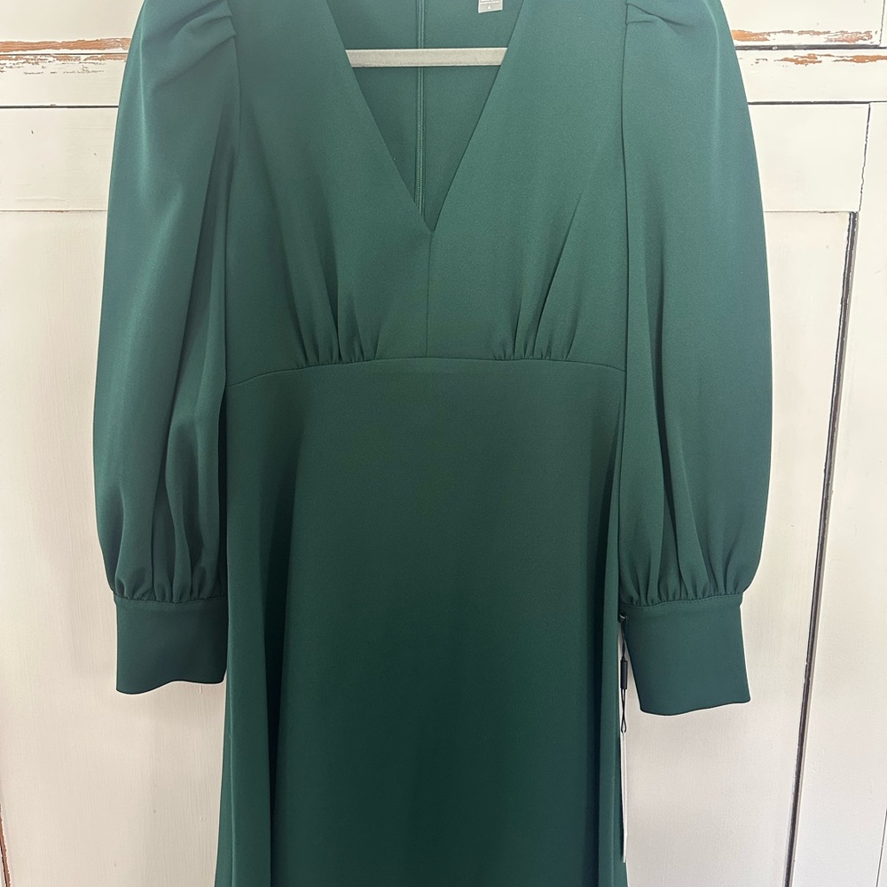 Calvin Klein Green Smocked A-line Dress with Long Bishop Sleeves